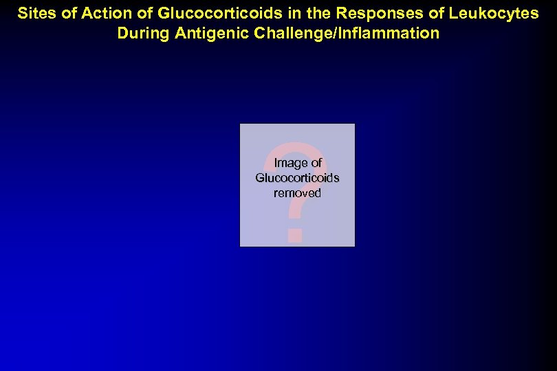 Sites of Action of Glucocorticoids in the Responses of Leukocytes During Antigenic Challenge/Inflammation ?