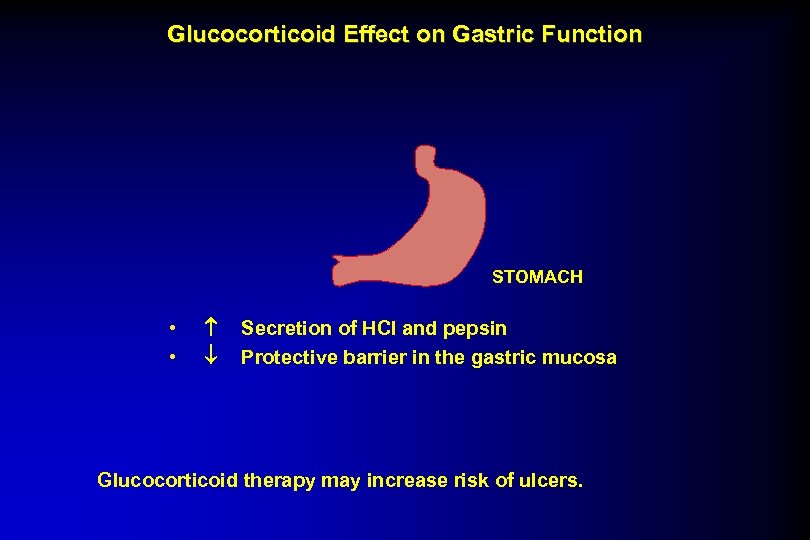 Glucocorticoid Effect on Gastric Function STOMACH • • Secretion of HCl and pepsin Protective