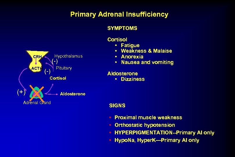 Primary Adrenal Insufficiency SYMPTOMS Hypothalamus CRH ACTH (-) Pituitary Cortisol (+) Adrenal Gland Cortisol
