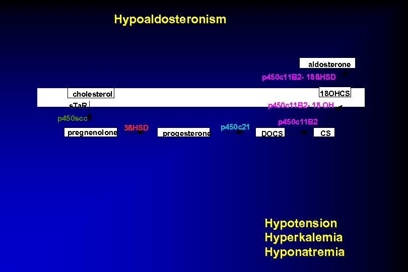 Hypoaldosteronism aldosterone p 450 c 11 B 2 - 18 ßHSD 18 OHCS cholesterol
