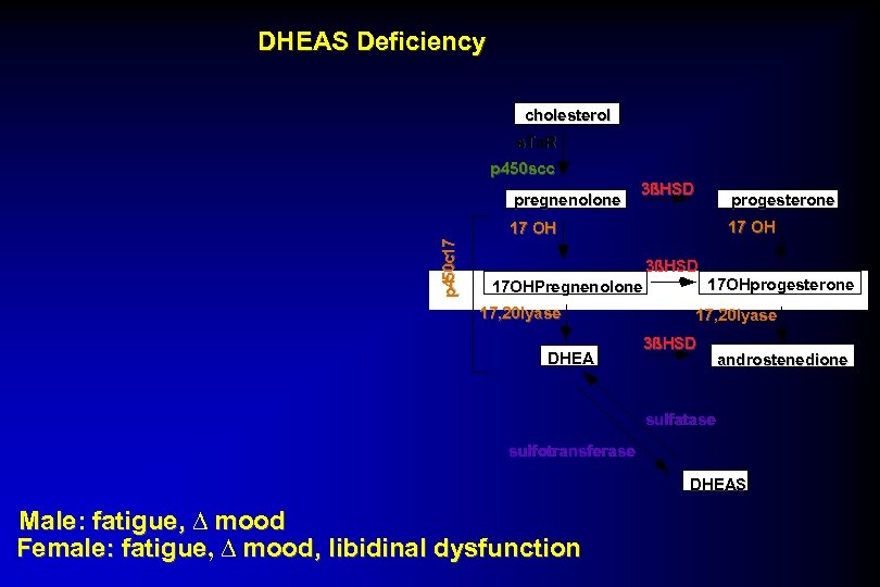 DHEAS Deficiency cholesterol s. Ta. R p 450 scc pregnenolone 3ßHSD progesterone 17 OH