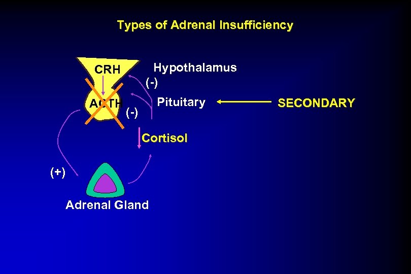 Types of Adrenal Insufficiency Hypothalamus (-) CRH ACTH Pituitary (-) Cortisol (+) Adrenal Gland