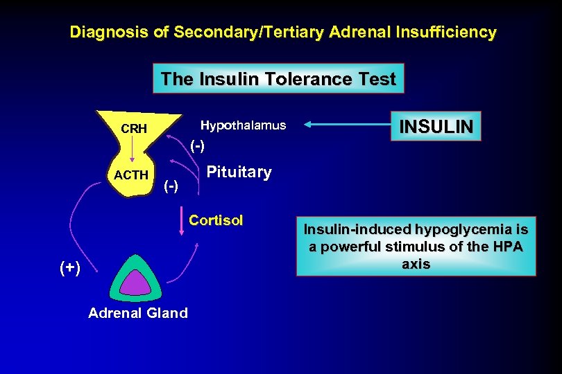 Diagnosis of Secondary/Tertiary Adrenal Insufficiency The Insulin Tolerance Test Hypothalamus CRH (-) ACTH (-)