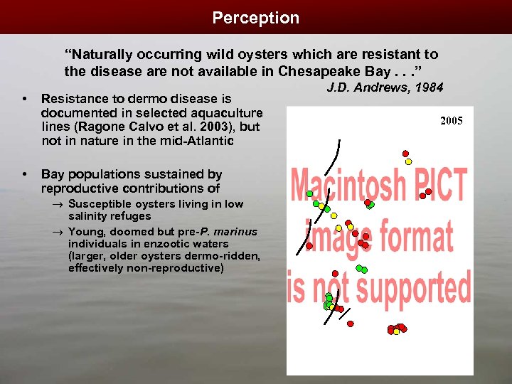 Perception “Naturally occurring wild oysters which are resistant to the disease are not available