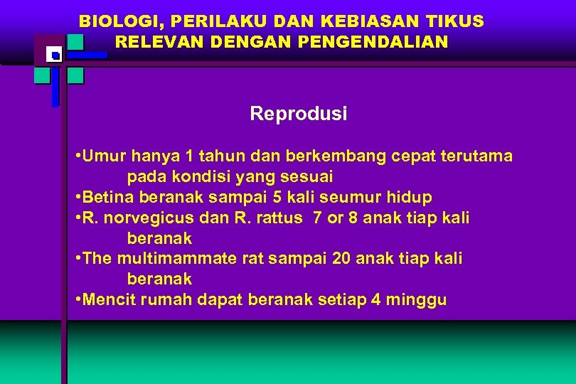 BIOLOGI, PERILAKU DAN KEBIASAN TIKUS RELEVAN DENGAN PENGENDALIAN Reprodusi • Umur hanya 1 tahun