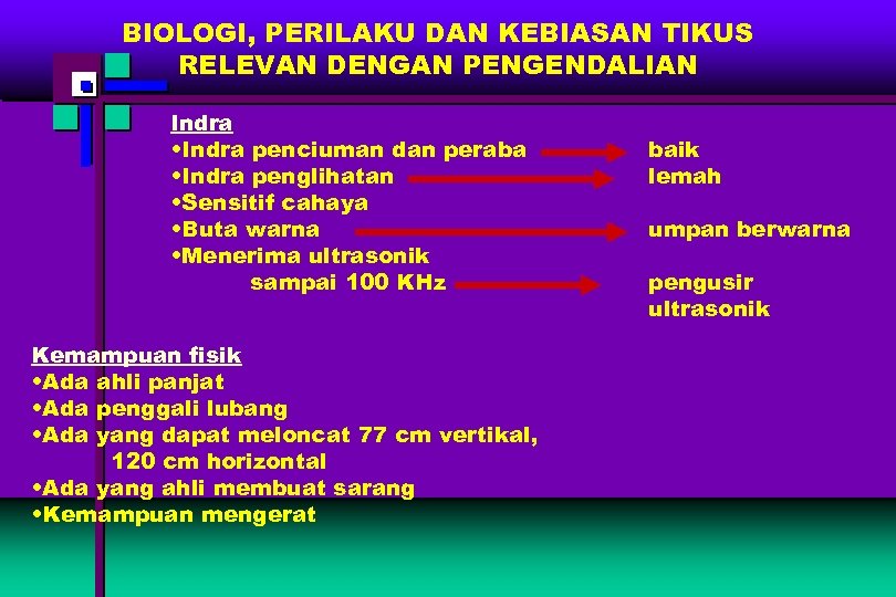 BIOLOGI, PERILAKU DAN KEBIASAN TIKUS RELEVAN DENGAN PENGENDALIAN Indra • Indra penciuman dan peraba