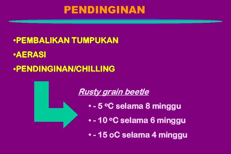PENDINGINAN • PEMBALIKAN TUMPUKAN • AERASI • PENDINGINAN/CHILLING Rusty grain beetle • - 5