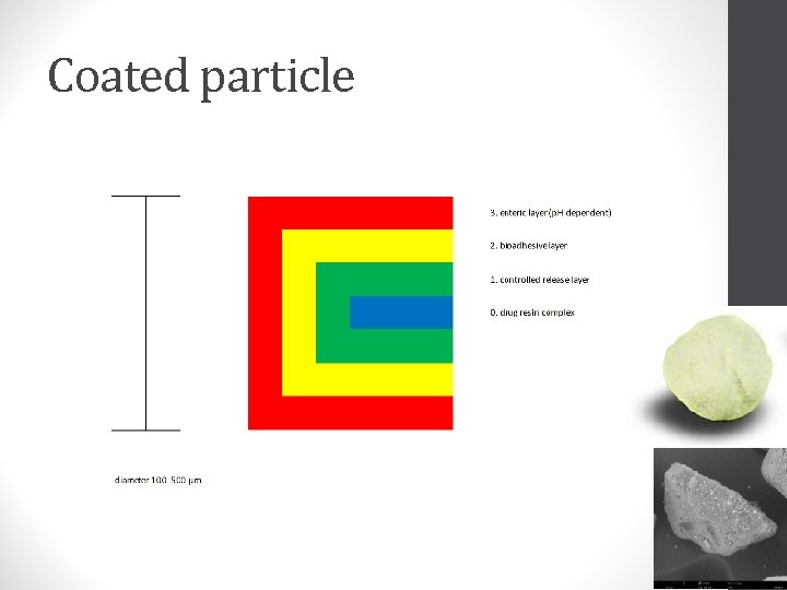 Coated particle 
