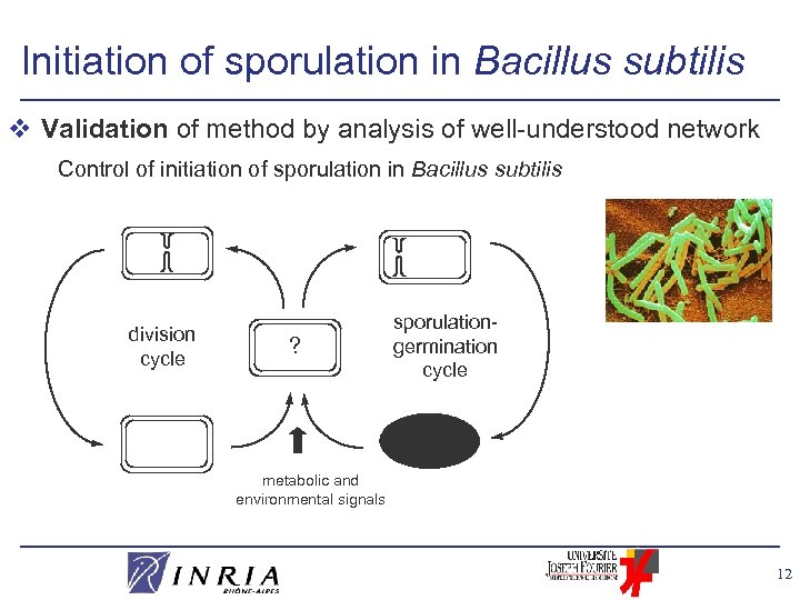 Initiation of sporulation in Bacillus subtilis v Validation of method by analysis of well-understood