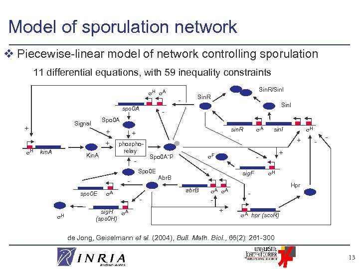 Model of sporulation network v Piecewise-linear model of network controlling sporulation 11 differential equations,