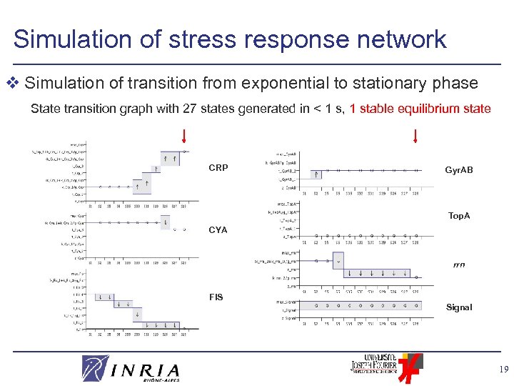 Simulation of stress response network v Simulation of transition from exponential to stationary phase