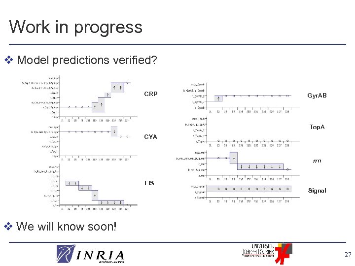Work in progress v Model predictions verified? CRP Gyr. AB Top. A CYA rrn