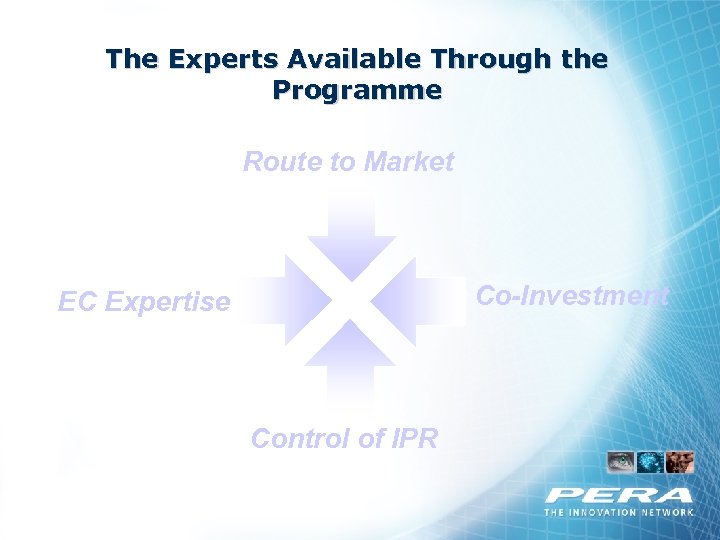 The Experts Available Through the Programme Route to Market Co-Investment EC Expertise Control of