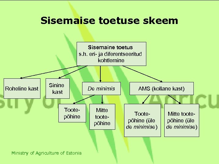 Sisemaise toetuse skeem Sisemaine toetus s. h. eri- ja diferentseeritud s. h. kohtlemine Roheline