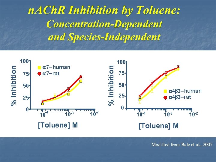 n. ACh. R Inhibition by Toluene: Concentration-Dependent and Species-Independent 75 100 a 7 -