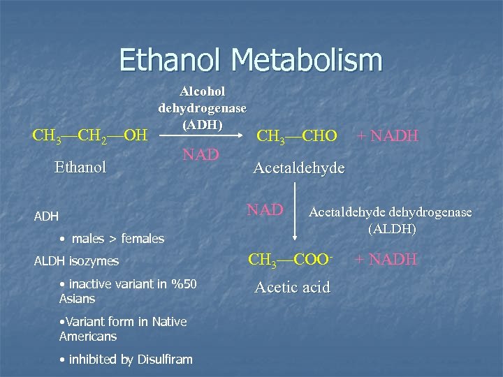Ethanol Metabolism CH 3—CH 2—OH Alcohol dehydrogenase (ADH) Ethanol NAD CH 3—CHO Acetaldehyde NAD