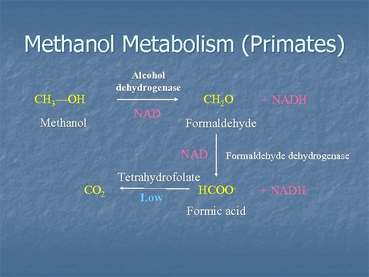 Methanol Metabolism (Primates) CH 3—OH Methanol Alcohol dehydrogenase NAD CH 2 O Formaldehyde NAD