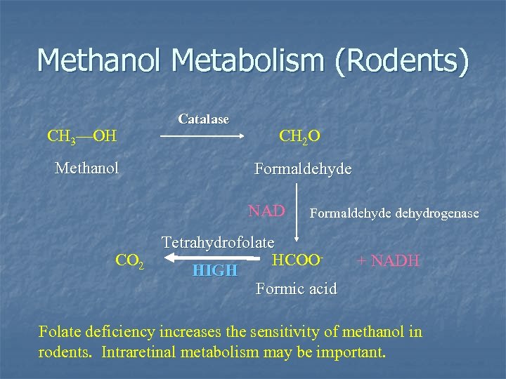 Methanol Metabolism (Rodents) CH 3—OH Methanol Catalase CH 2 O Formaldehyde NAD CO 2
