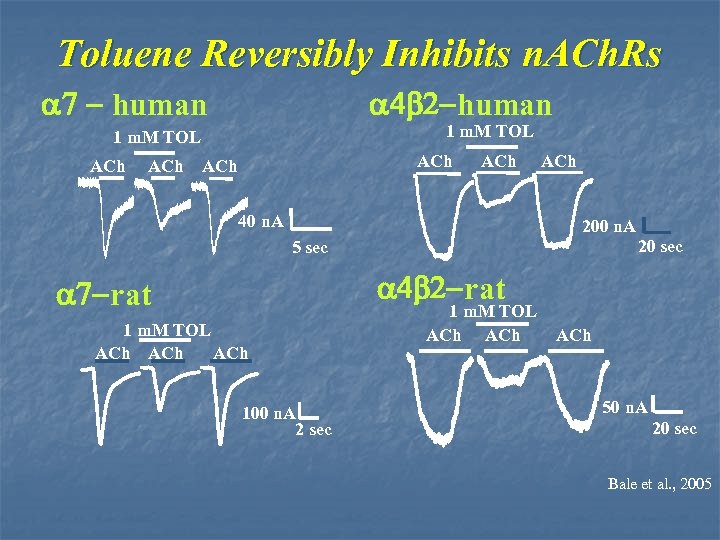 Toluene Reversibly Inhibits n. ACh. Rs a 7 - human a 4 b 2