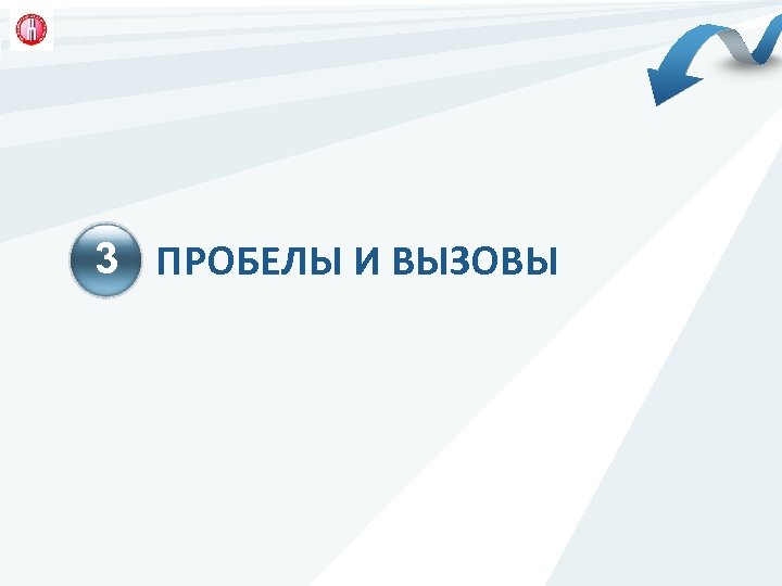 3 ПРОБЕЛЫ И ВЫЗОВЫ 