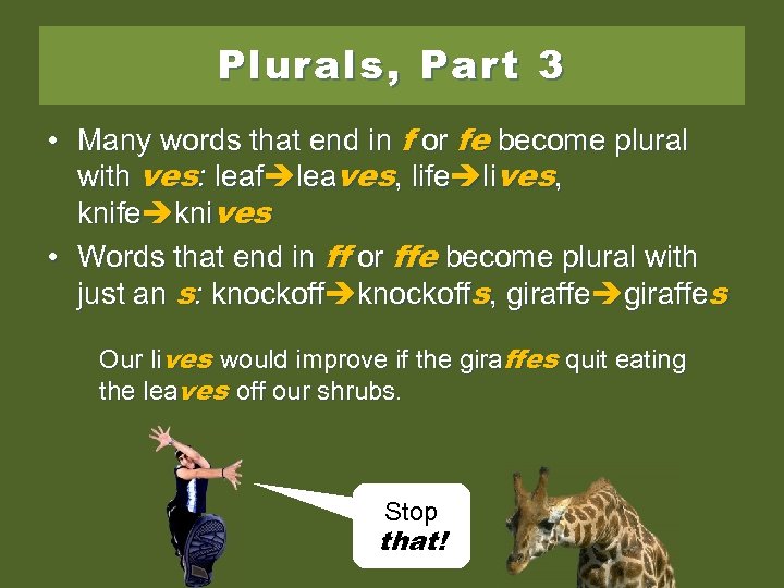 Plurals, Part 3 • Many words that end in f or fe become plural