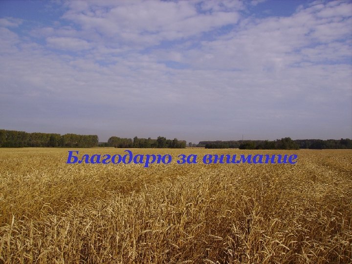 Благодарю за внимание 