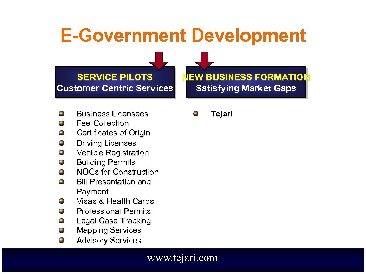 E-Government Development SERVICE PILOTS NEW BUSINESS FORMATION Customer Centric Services Satisfying Market Gaps Business