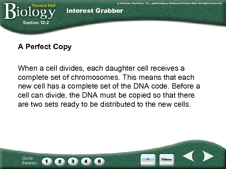 Interest Grabber Section 12 -2 A Perfect Copy When a cell divides, each daughter