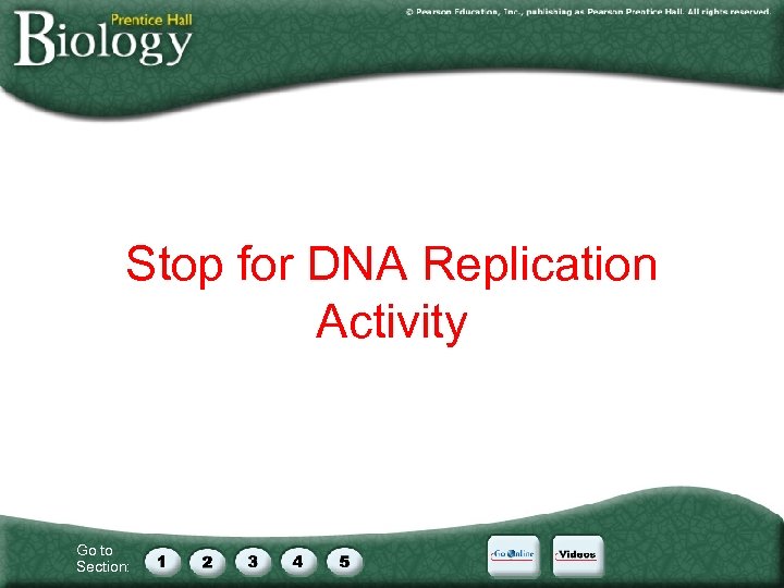 Stop for DNA Replication Activity Go to Section: 