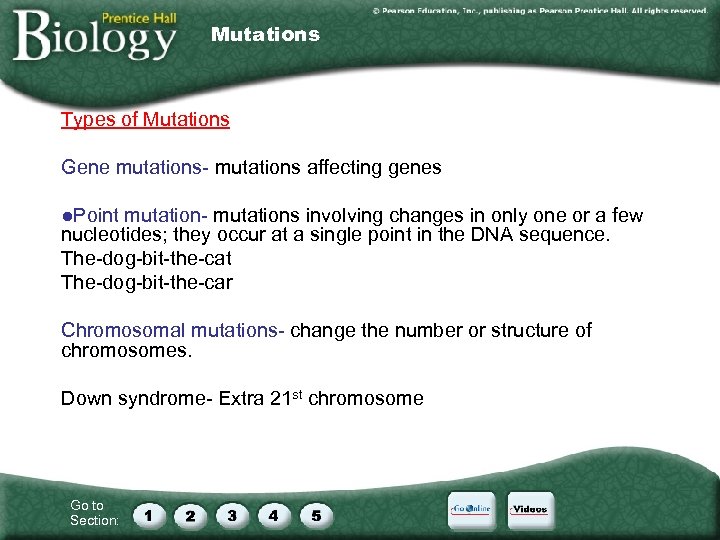 Mutations Types of Mutations Gene mutations- mutations affecting genes ●Point mutation- mutations involving changes