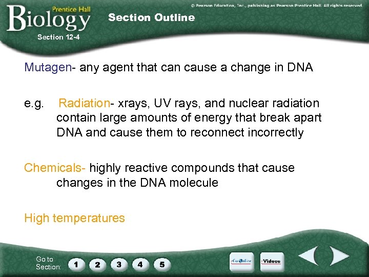 Section Outline Section 12 -4 Mutagen- any agent that can cause a change in