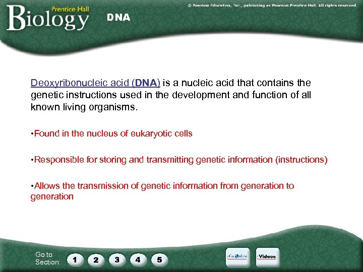 DNA Deoxyribonucleic acid (DNA) is a nucleic acid that contains the genetic instructions used