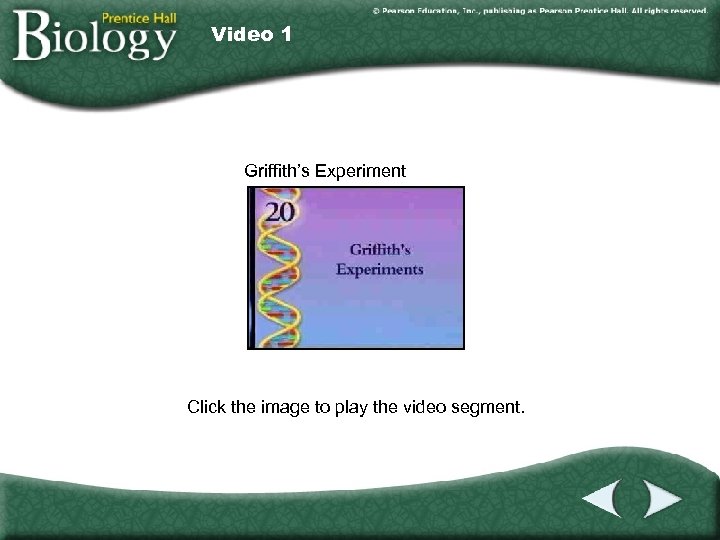 Video 1 Griffith’s Experiment Click the image to play the video segment. 