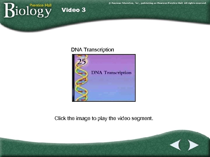 Video 3 DNA Transcription Click the image to play the video segment. 