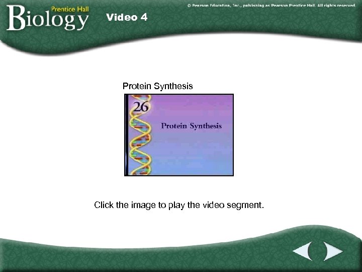 Video 4 Protein Synthesis Click the image to play the video segment. 