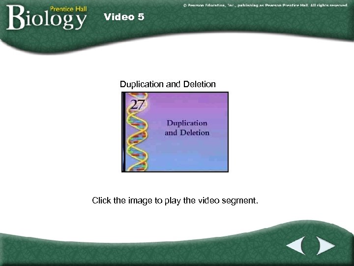 Video 5 Duplication and Deletion Click the image to play the video segment. 