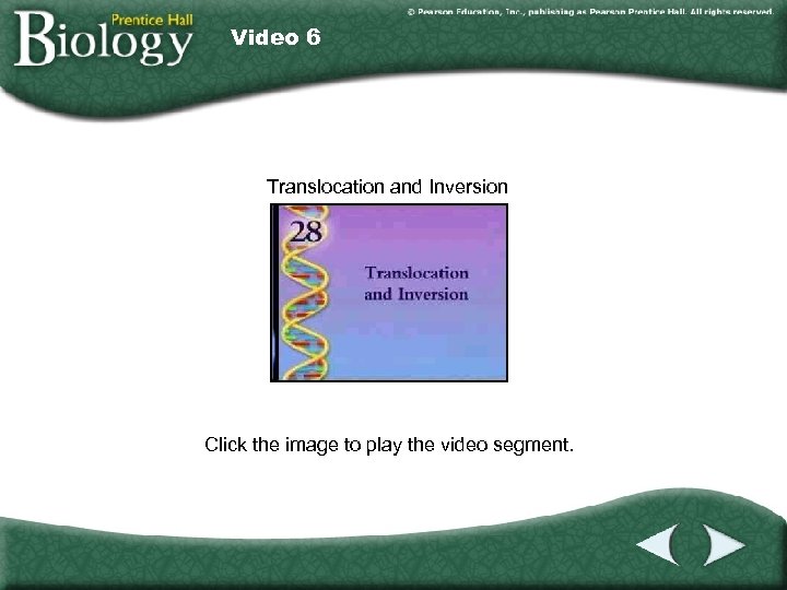 Video 6 Translocation and Inversion Click the image to play the video segment. 