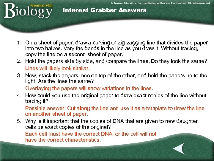 Interest Grabber Answers 1. On a sheet of paper, draw a curving or zig-zagging