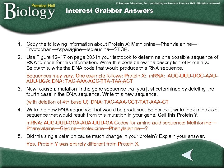 Interest Grabber Answers 1. Copy the following information about Protein X: Methionine—Phenylalanine— Tryptophan—Asparagine—Isoleucine—STOP. 2.