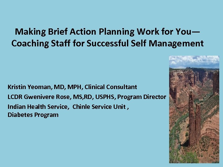 Making Brief Action Planning Work for You— Coaching Staff for Successful Self Management Kristin