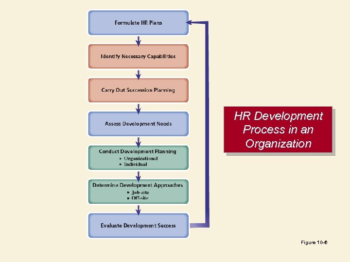 HR Development Process in an Organization Figure 10– 6 
