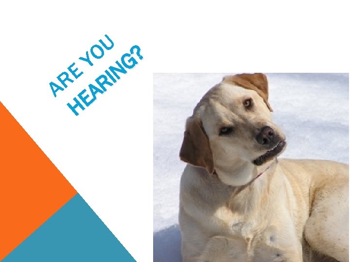 U ? O G Y E IN R AR A E H 