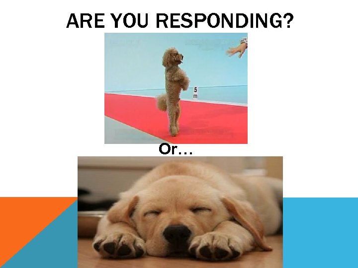 ARE YOU RESPONDING? RESPONDING Or… 