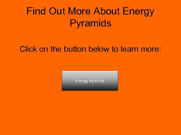 Find Out More About Energy Pyramids Click on the button below to learn more: