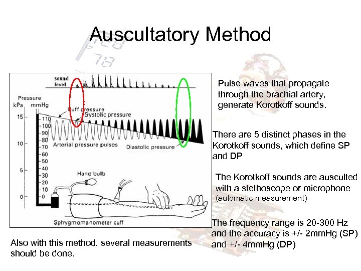 Auscultatory Method Pulse waves that propagate through the brachial artery, generate Korotkoff sounds. There