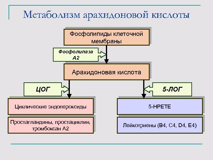 Метаболизм арахидоновой кислоты Фосфолипиды клеточной мембраны Фосфолипаза А 2 Арахидоновая кислота ЦОГ 5 -ЛОГ