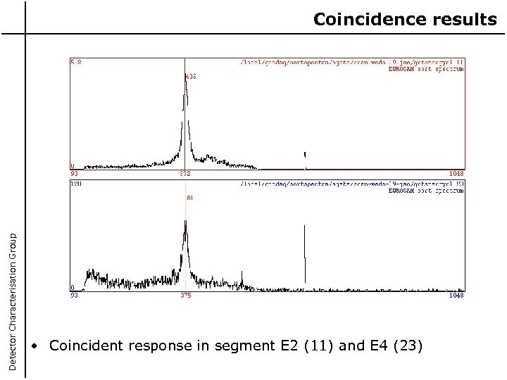 Detector Characterisation Group Coincidence results • Coincident response in segment E 2 (11) and