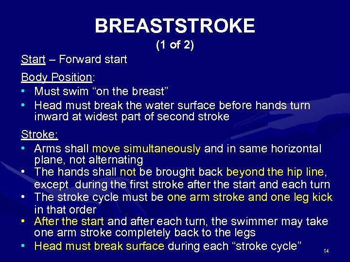BREASTSTROKE (1 of 2) Start – Forward start Body Position: • Must swim “on