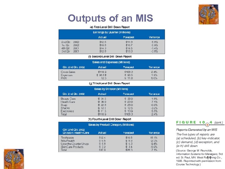 Outputs of an MIS 11 