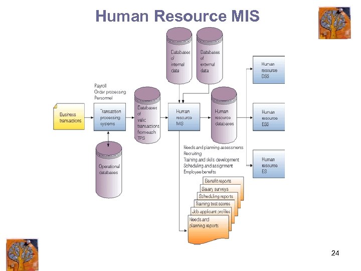 Human Resource MIS 24 